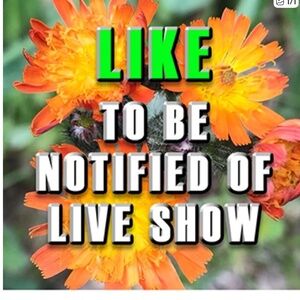 Please Like this and you will be notified of my Lives, Bundle Sales Etc